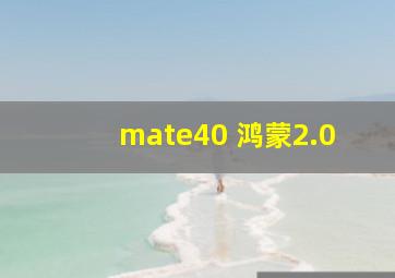 mate40 鸿蒙2.0